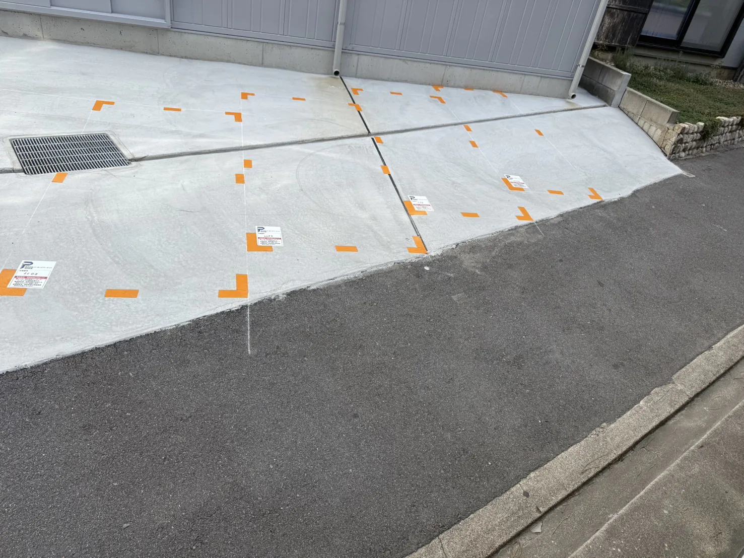 ニリーン菅原