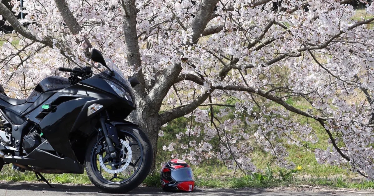 春のバイク