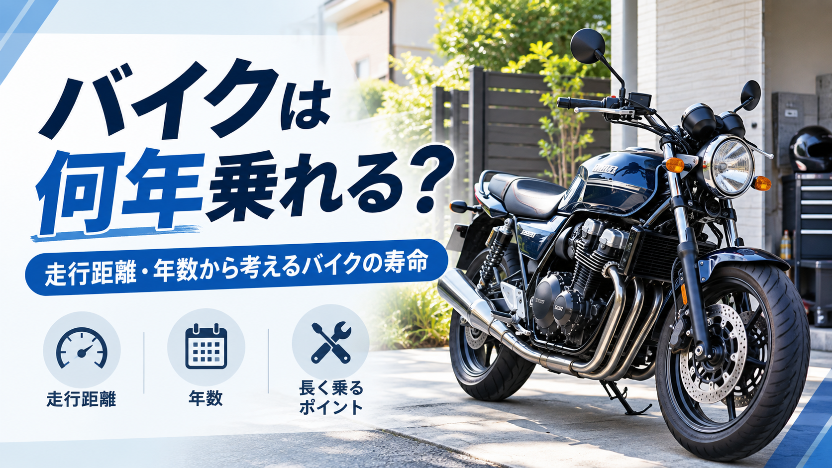 コラム